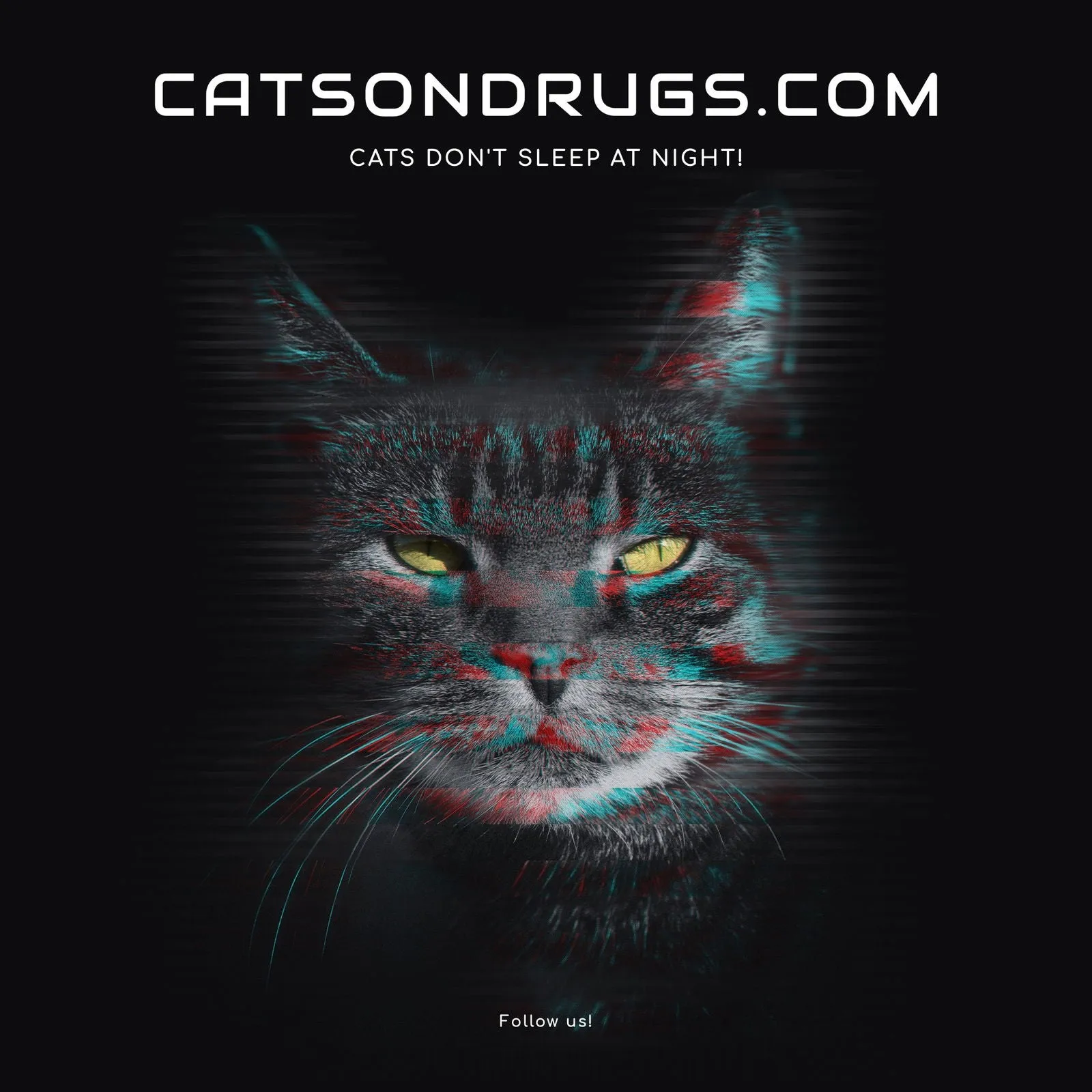 Acid Hoodie | Acid Cat Hoodie | Acid Fashion