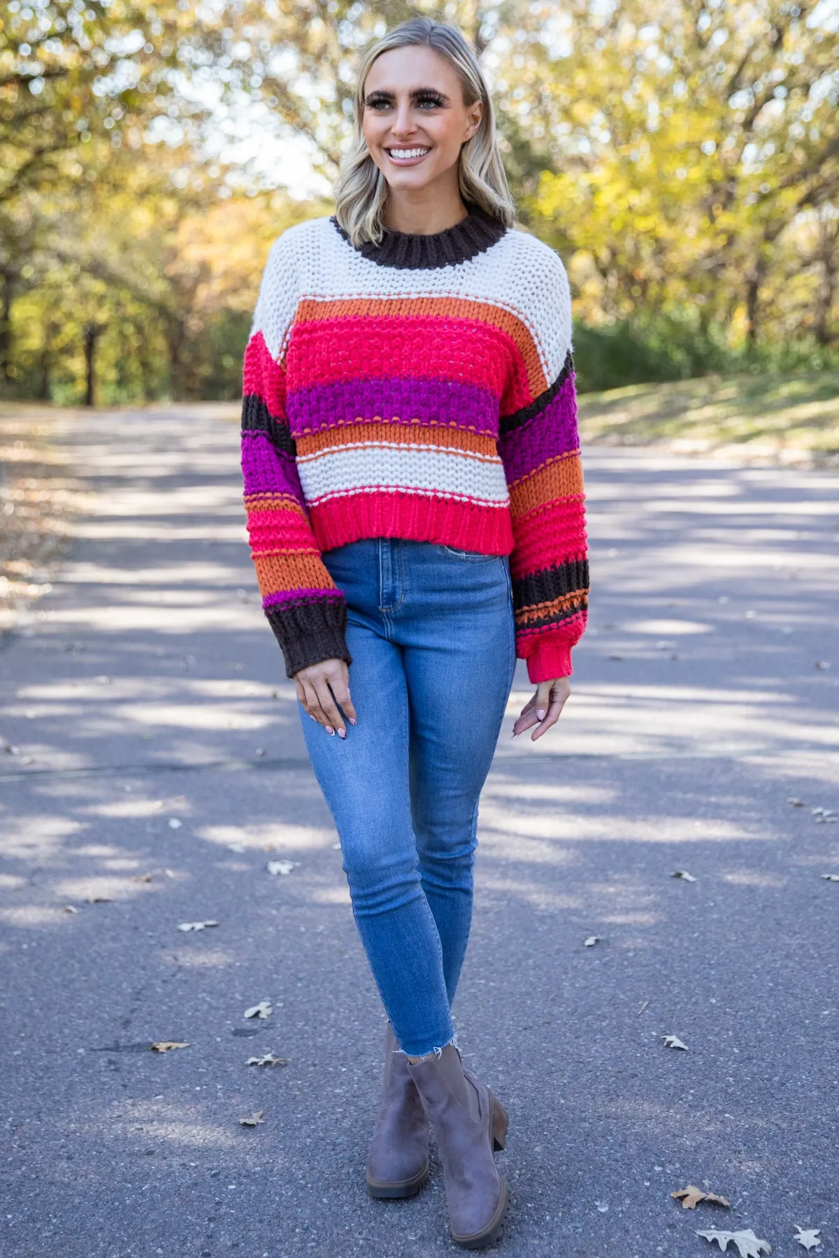 Brown and Crimson Multicolor Stripe Sweater