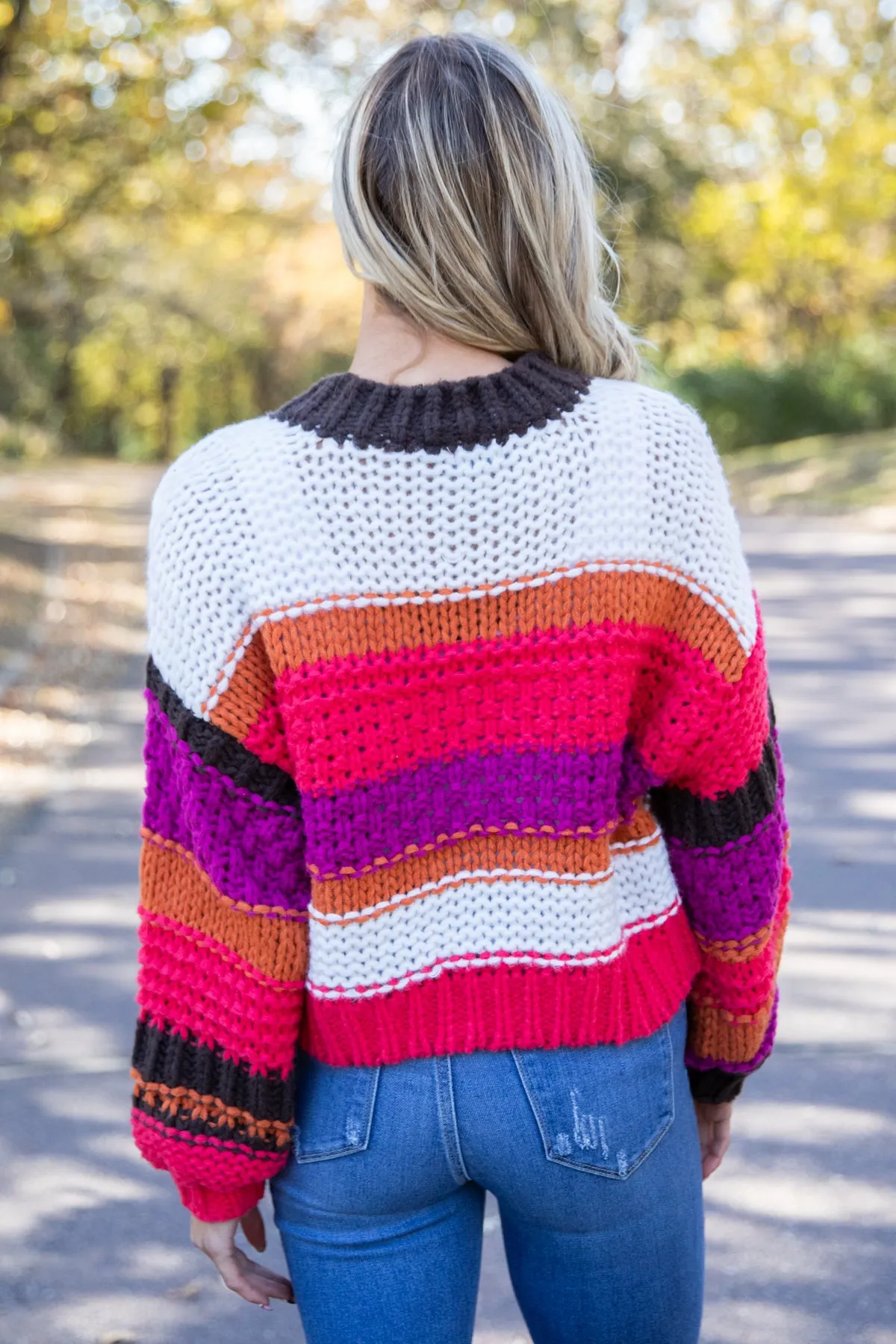 Brown and Crimson Multicolor Stripe Sweater