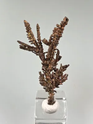 Copper, Champion Mine, Lake Superior Copper District, Houghton County, Michigan, ex. Louis Lafayette Collection, Thumbnail 0.5 x 1.5 x 3.0 cm, $25. Online 12/17