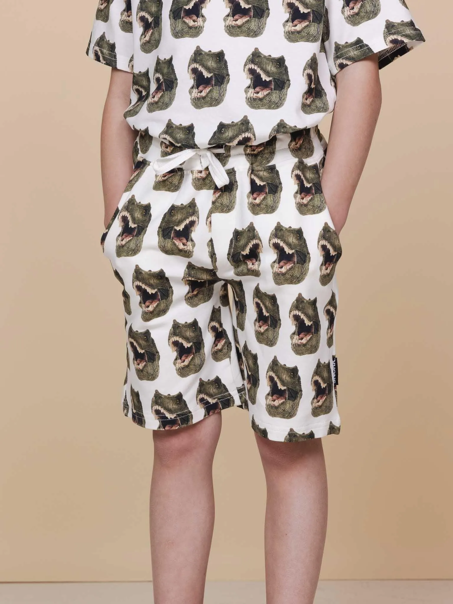 Dino Shorts Kids