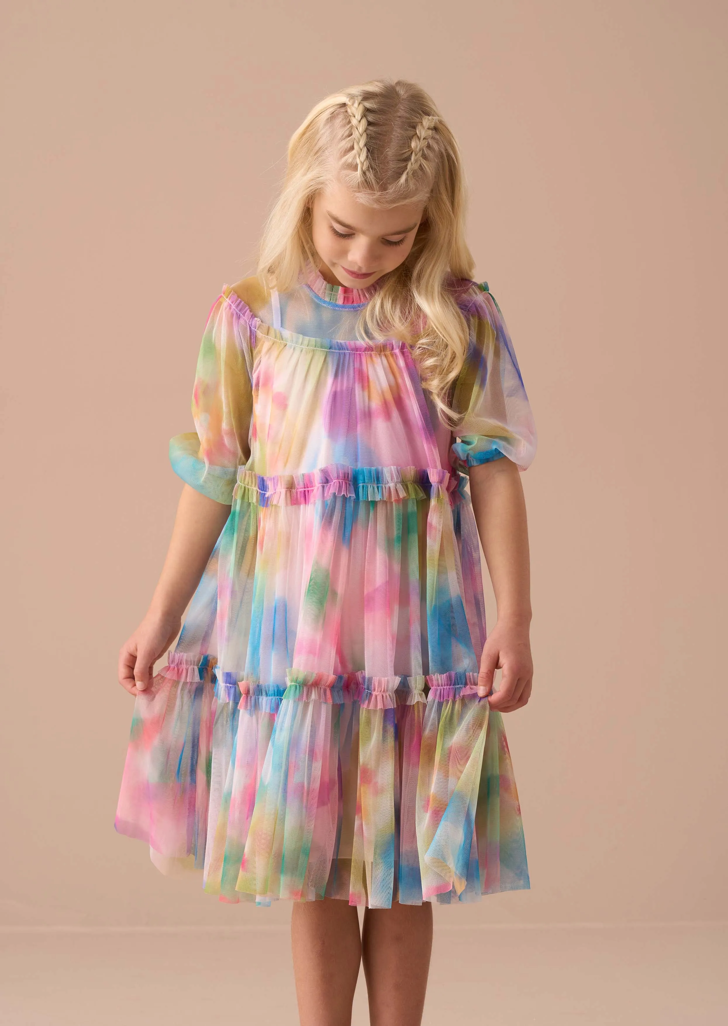 Eleanor Multi Printed Swing Mesh Dress