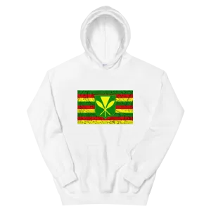 Hawaii Flag *ADULT HOODIE*
