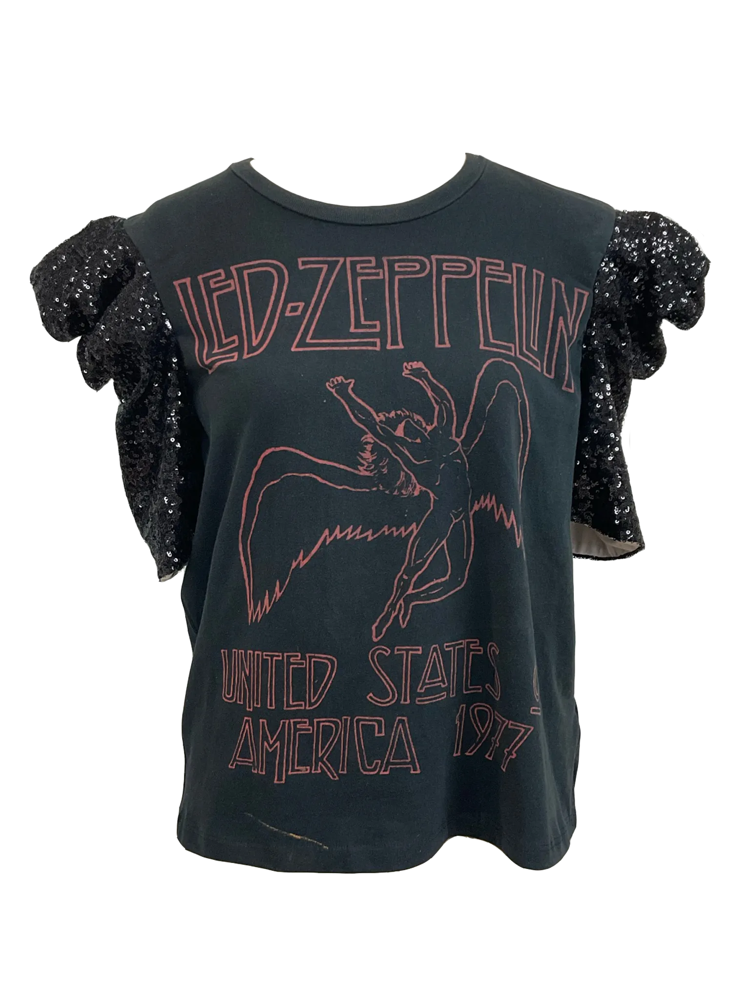 Led Zeppelin Fly