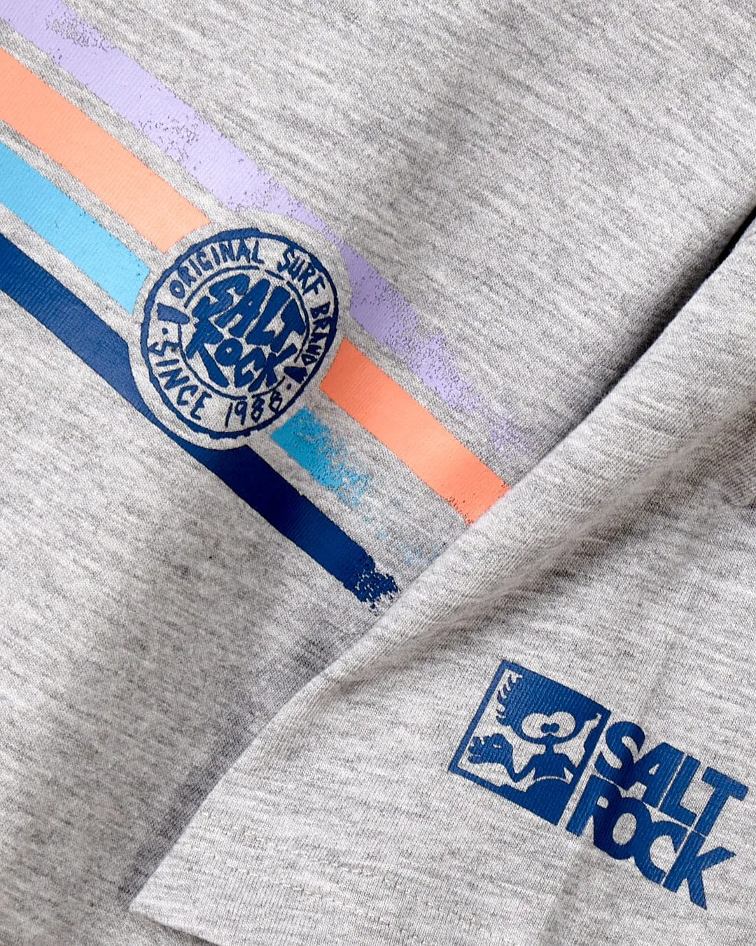 Saltrock Boys Spray Stripe T-Shirt Grey