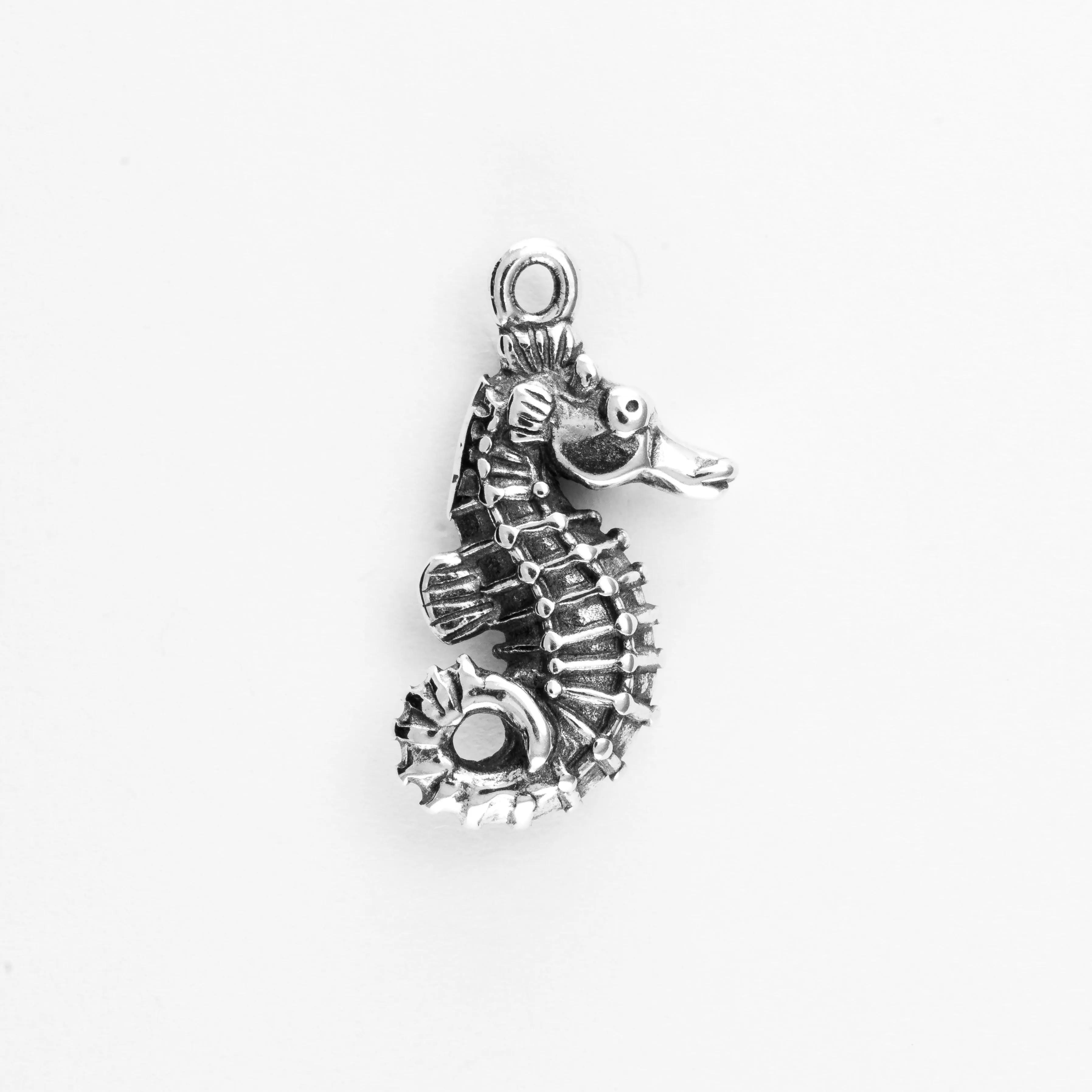 Seahorse