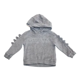 Stay Cool Velour Hoodie