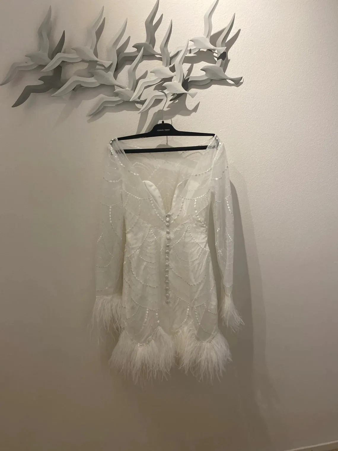 SWAN WINGS