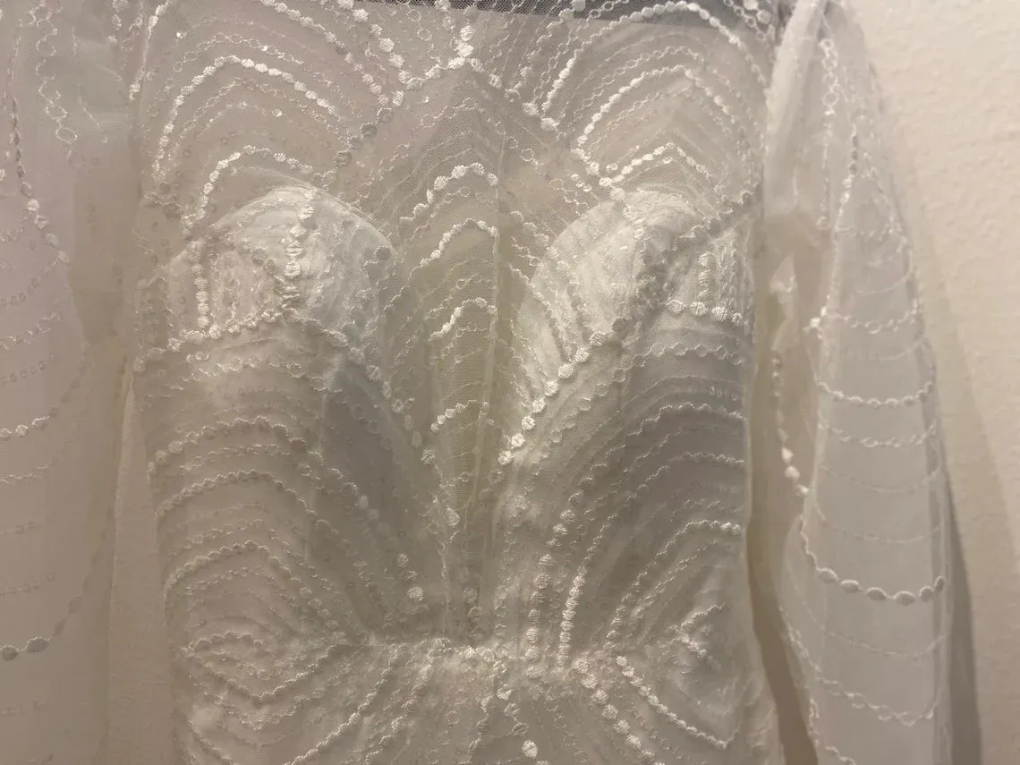 SWAN WINGS