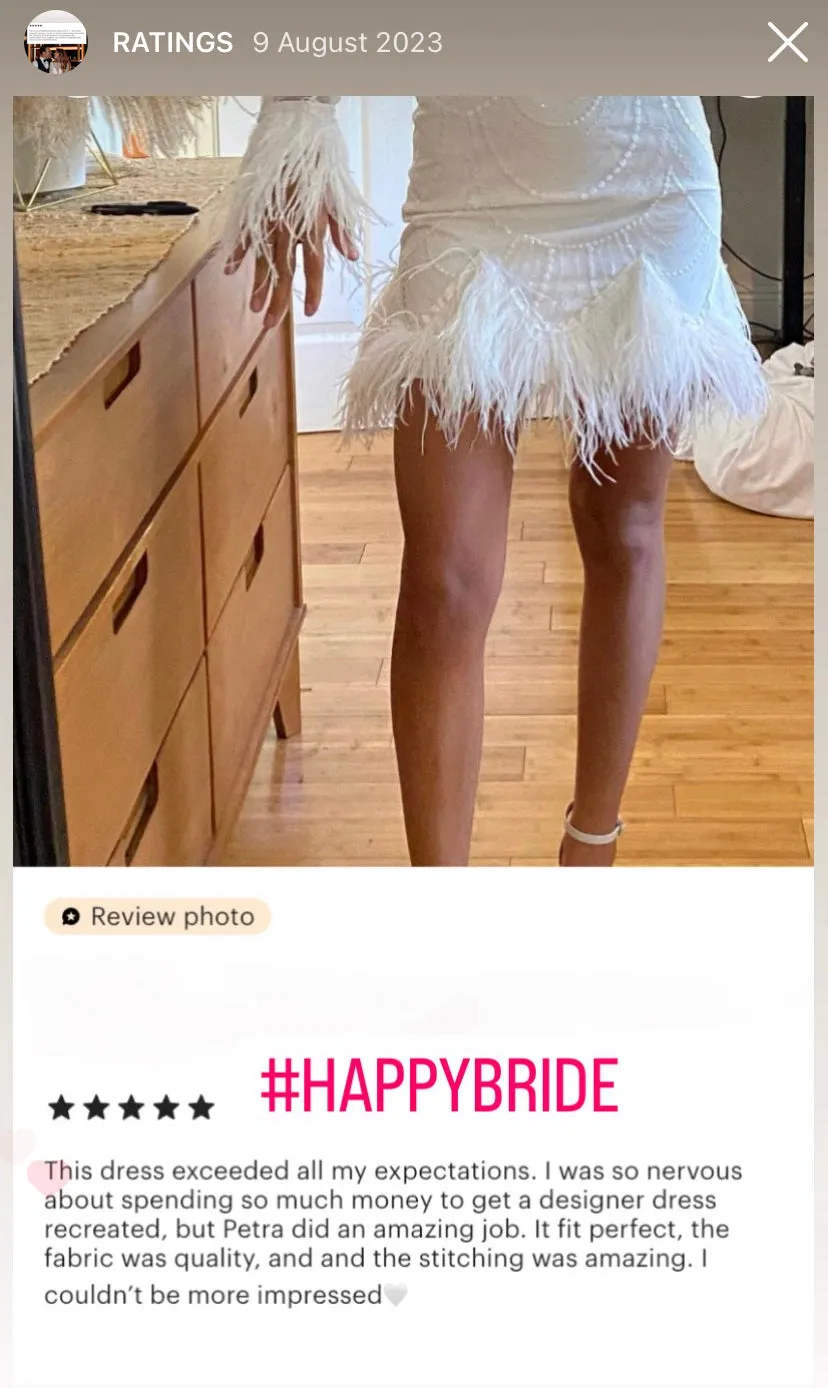 SWAN WINGS