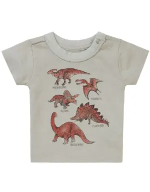 The Dino Moments T-Shirt - Willow Grey - BABY