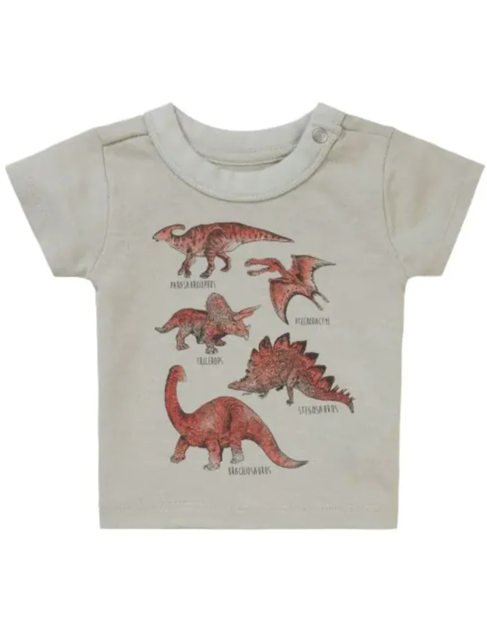 The Dino Moments T-Shirt - Willow Grey - BABY