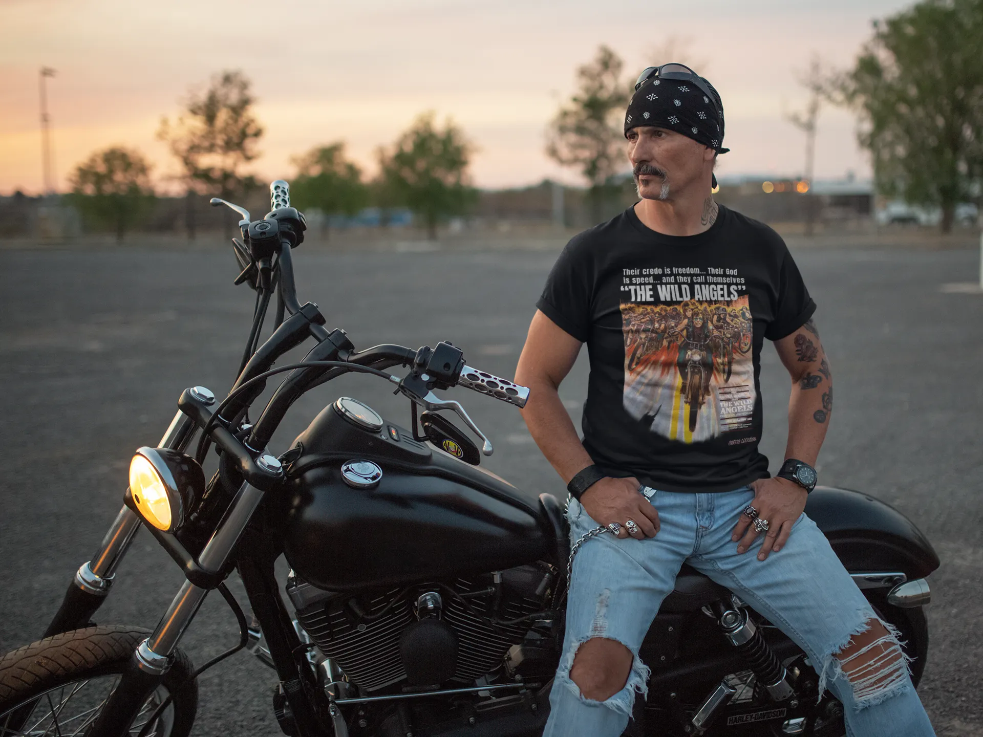 THE WILD ANGELS 650CC t-shirt