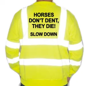 Unisex Hi-Vis Reflective Jumper/Sweatshirt - HORSES DON'T DENT THEY DIE