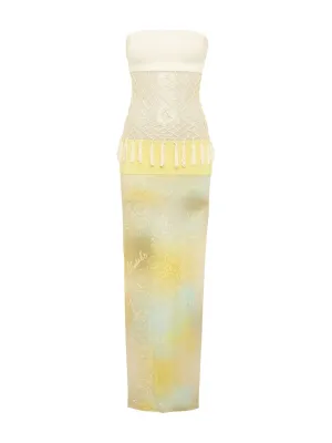 Vera Net Paneled Maxi Dress