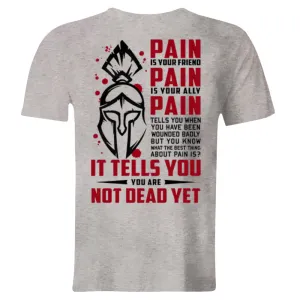 Vikings Pain Is Your Friend Printed Men's T-shirt